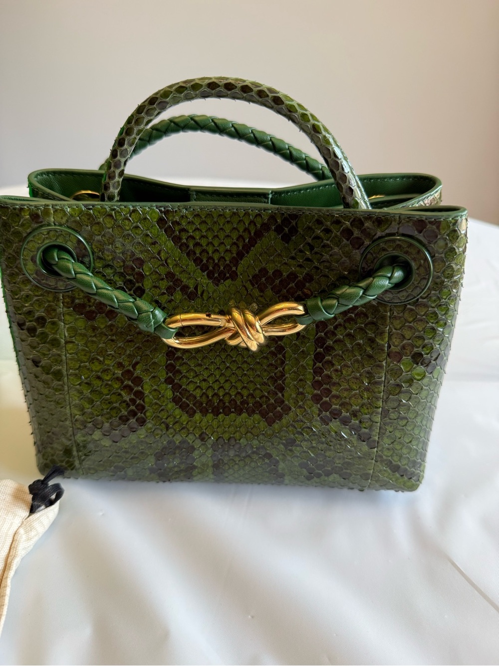 Bottega Veneta Green Python Bag Rare Only 15 made NEW Milan